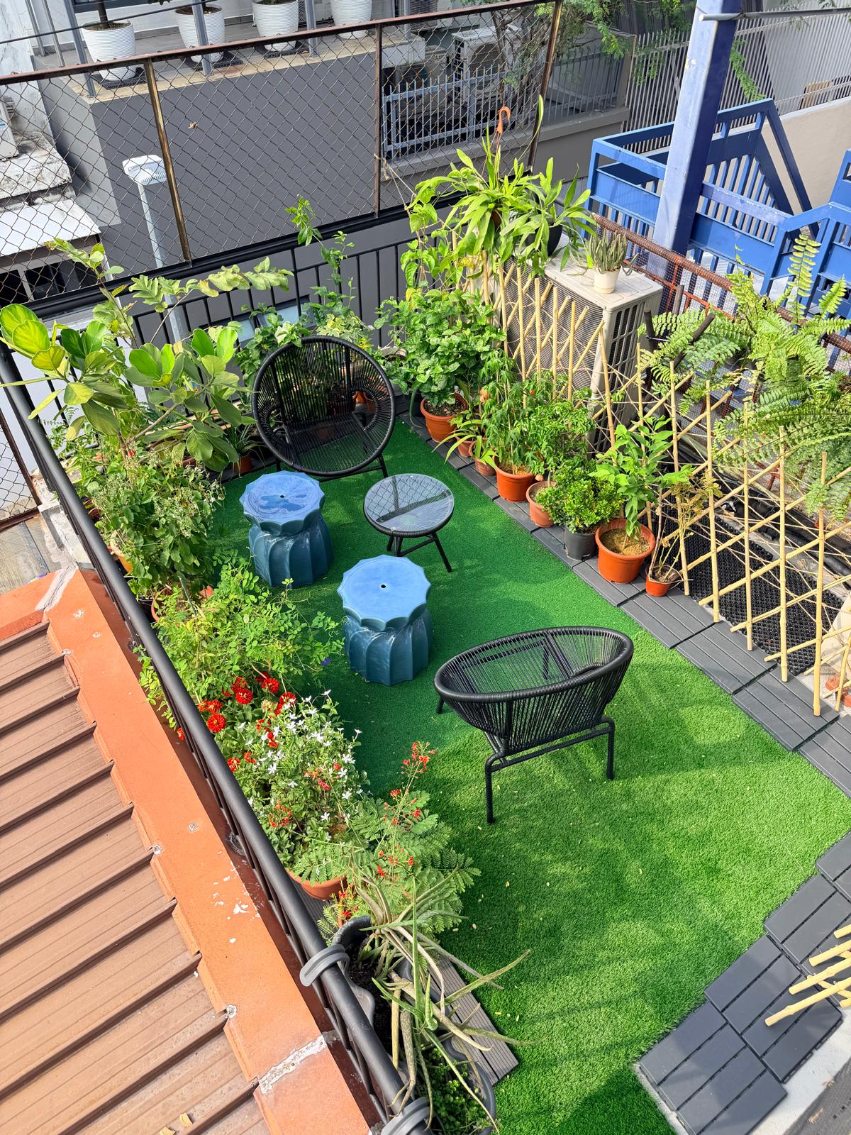 Another view of our rooftop garden terrace